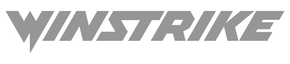 'Логотип партнёра Winstrike