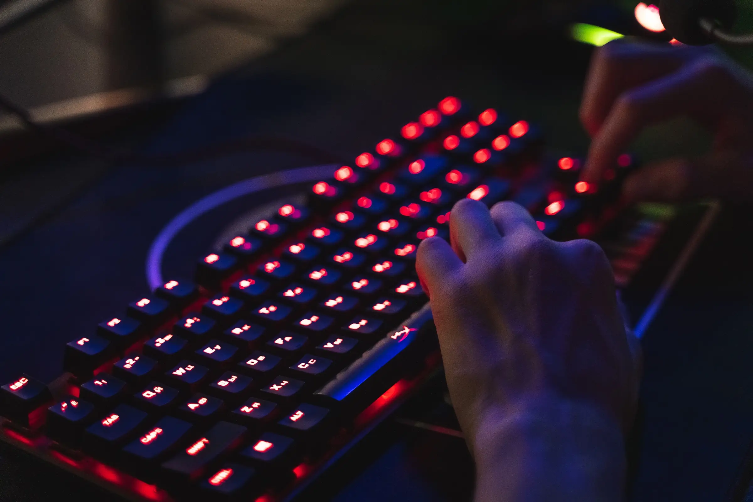 Изображение клуба WHYKICK Лесная Поляна № 1