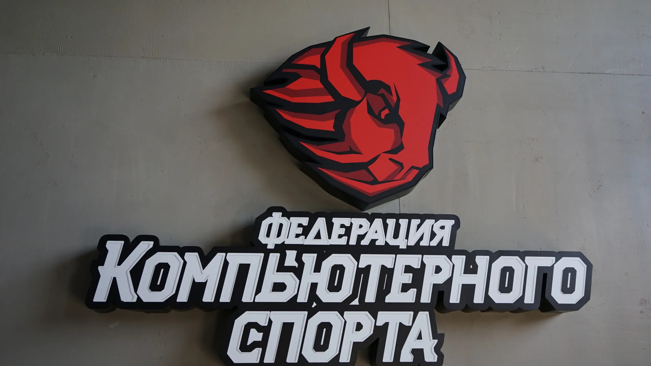 Изображение клуба Федерация компьютерного спорта Краснодарского края № 2