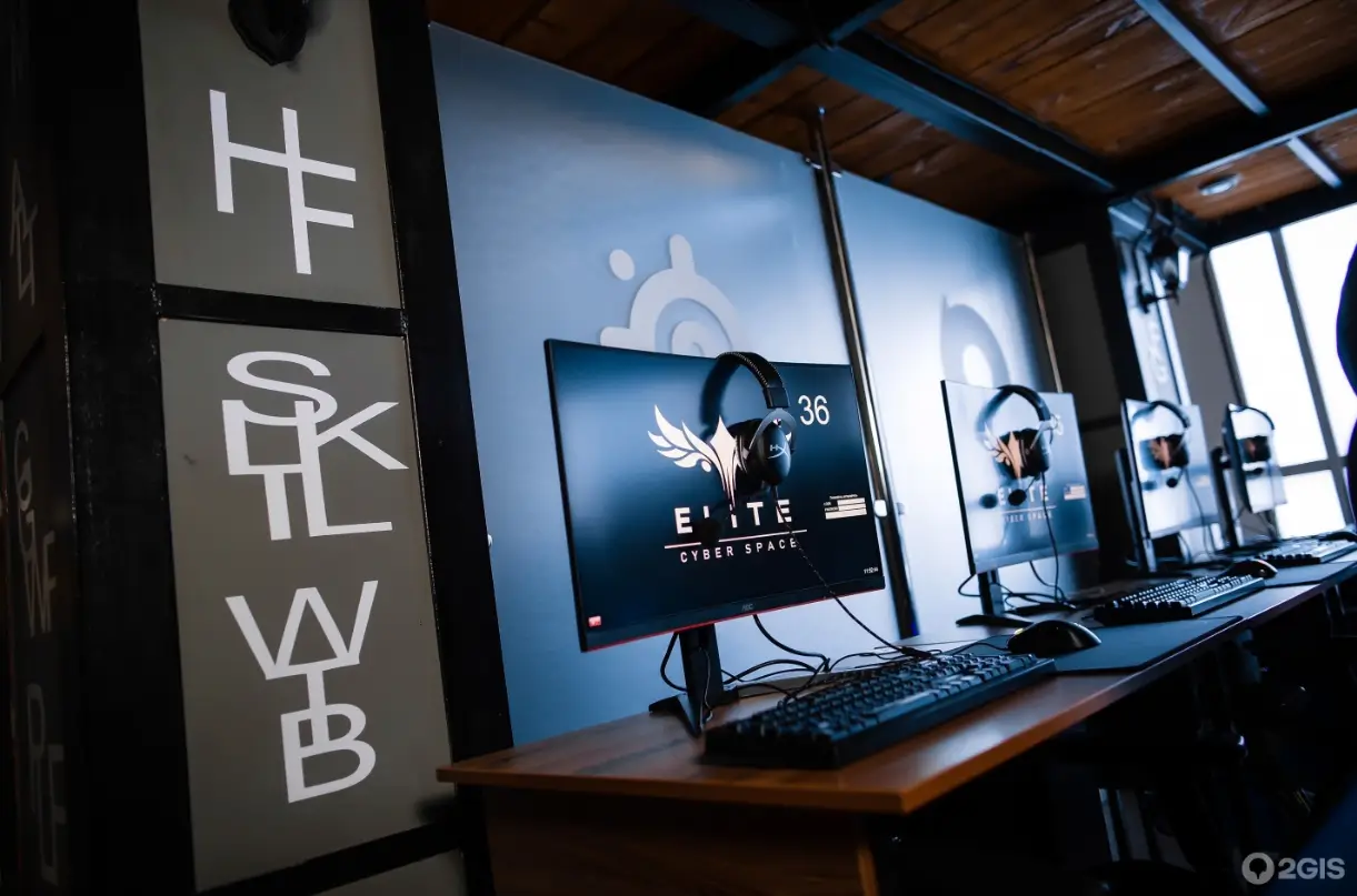Изображение клуба Elite Cyber Sport № 4