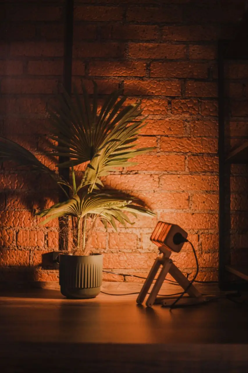 Изображение клуба НИКНЕЙМ № 10