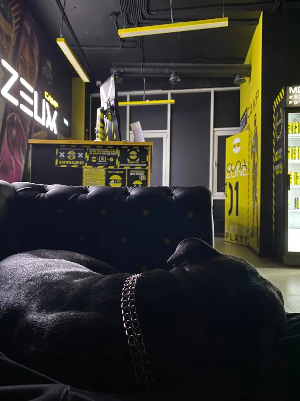 Изображение клуба COLIZEUM Краснодар № 8