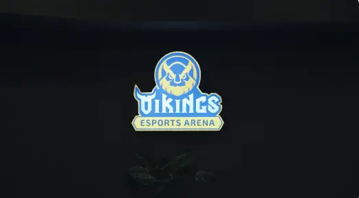 Изображение клуба VIKINGS NGUYỄN THỊ THẬP № 6