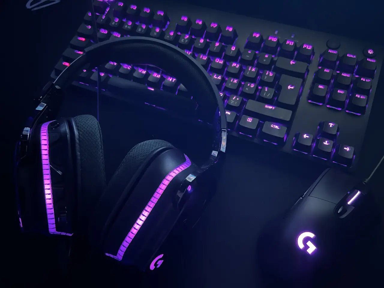 Изображение клуба Wonderland № 1