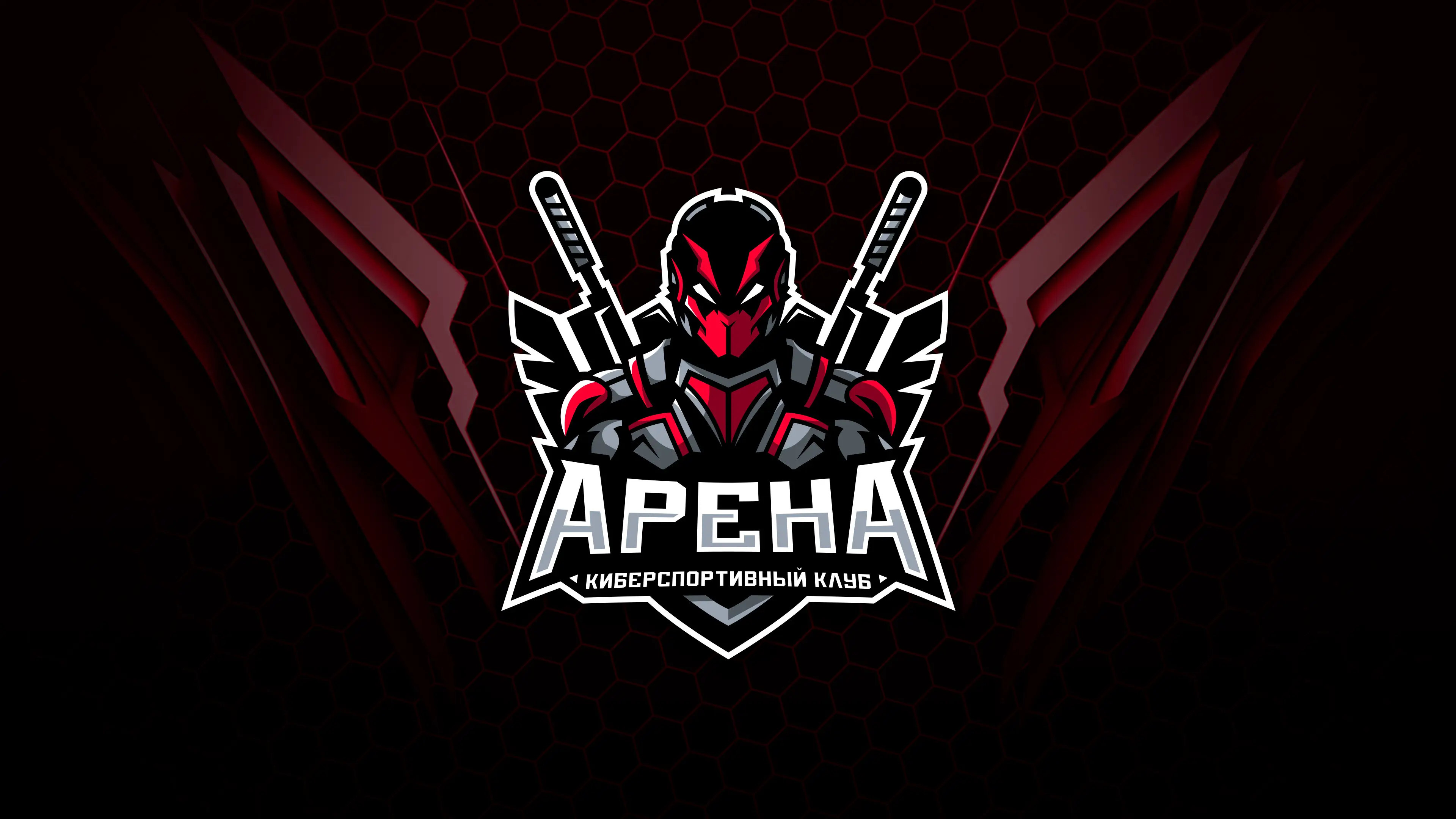 Изображение клуба Арена Cатка № 1