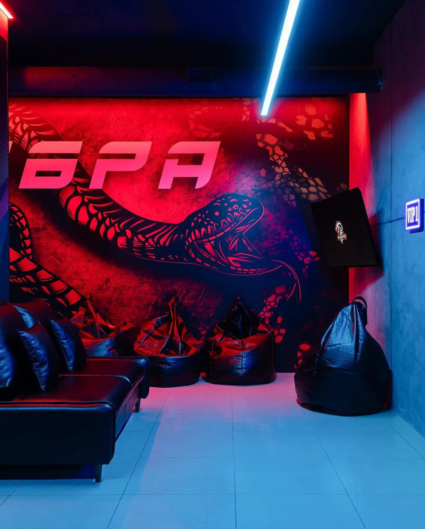 Изображение клуба Кобра № 2