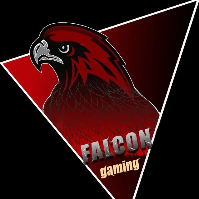 Изображение клуба Falcon gaming № 7