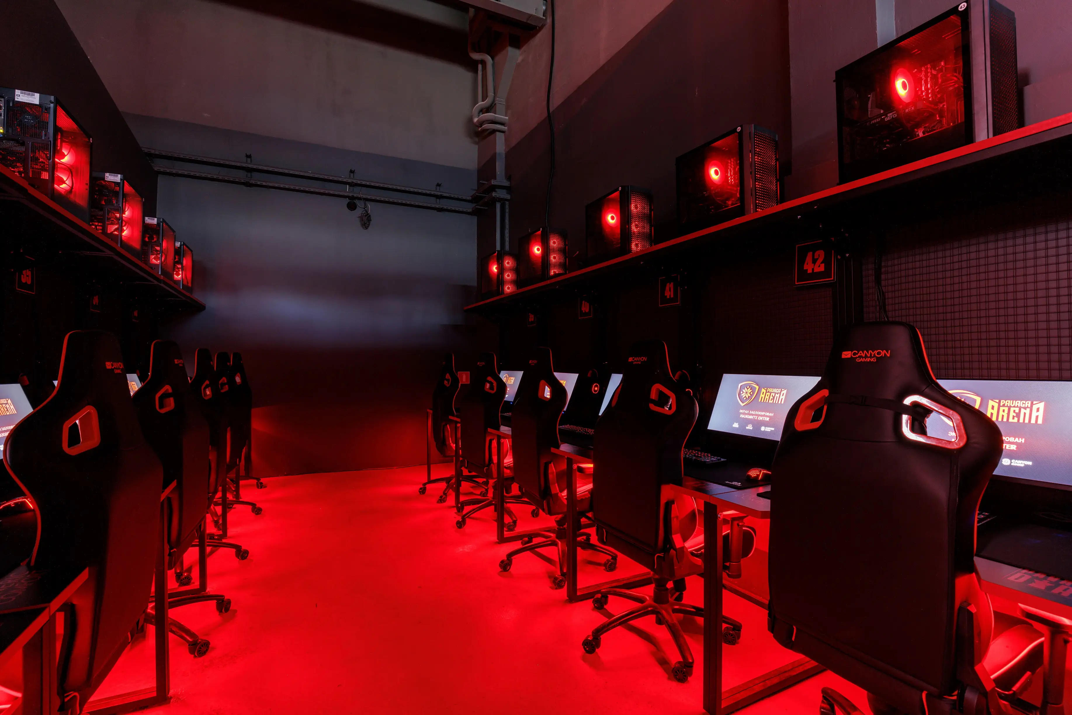 Изображение клуба Pavaga Arena № 8