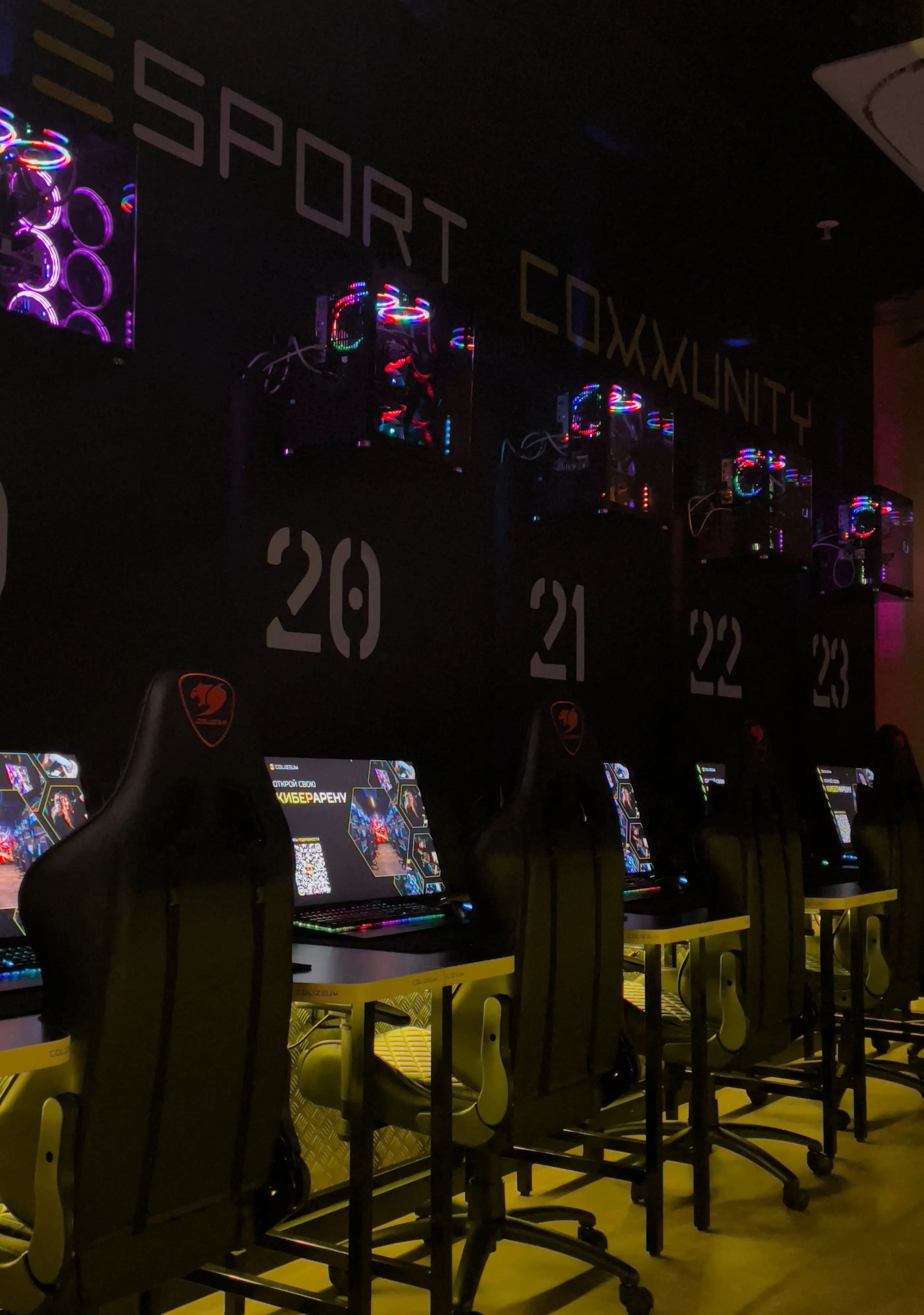 Изображение клуба COLIZEUM Лотос № 2