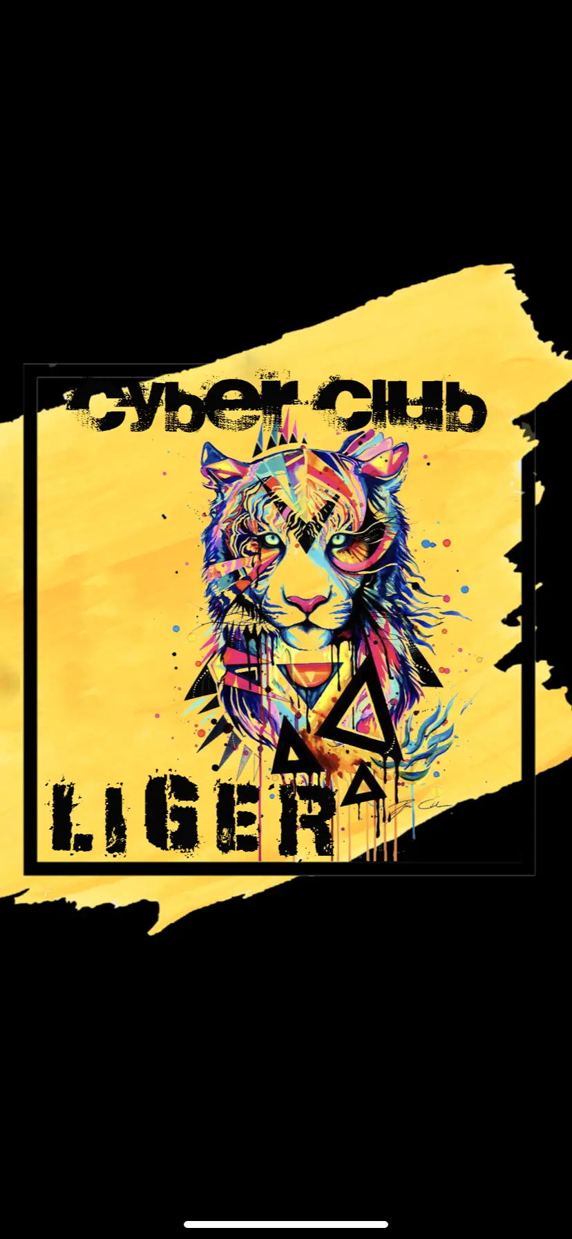 Изображение клуба Cyber Club «Liger» № 1