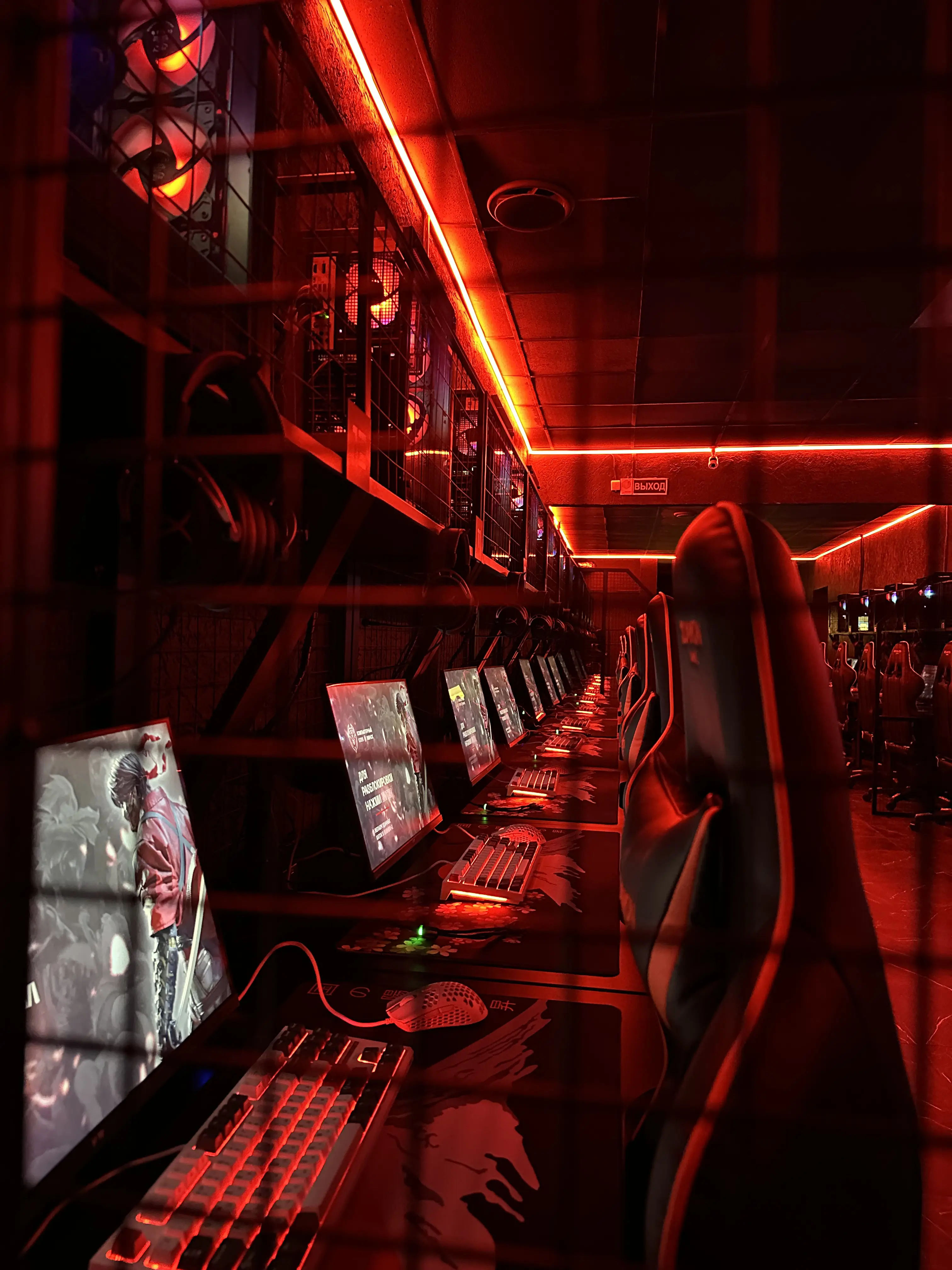 Изображение клуба BUSHIDO-X | Venskiy № 4