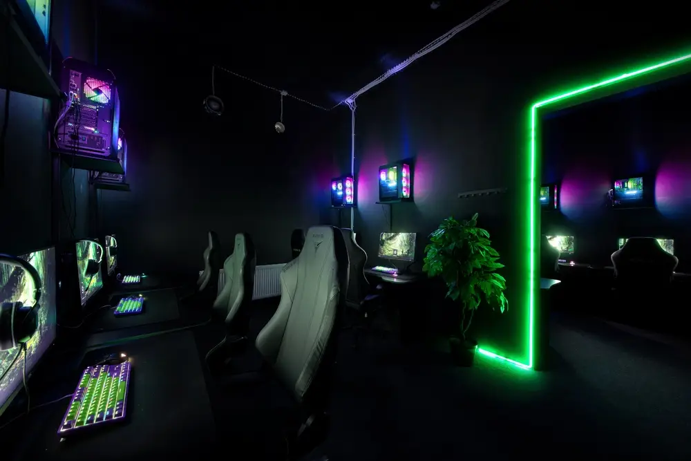 Изображение клуба Jungle. Comp № 1