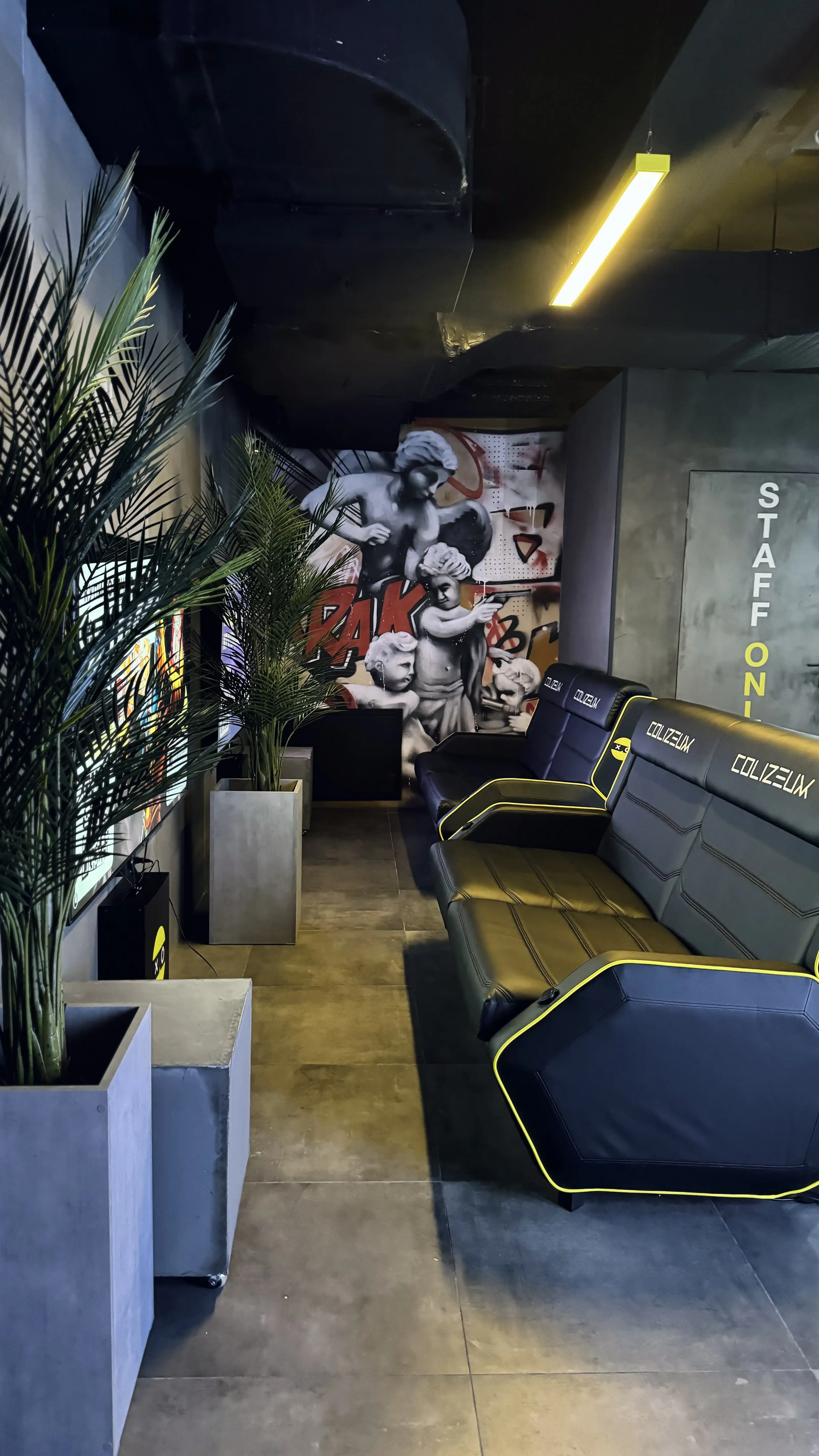 Изображение клуба Colizeum Новое Домодедово № 5