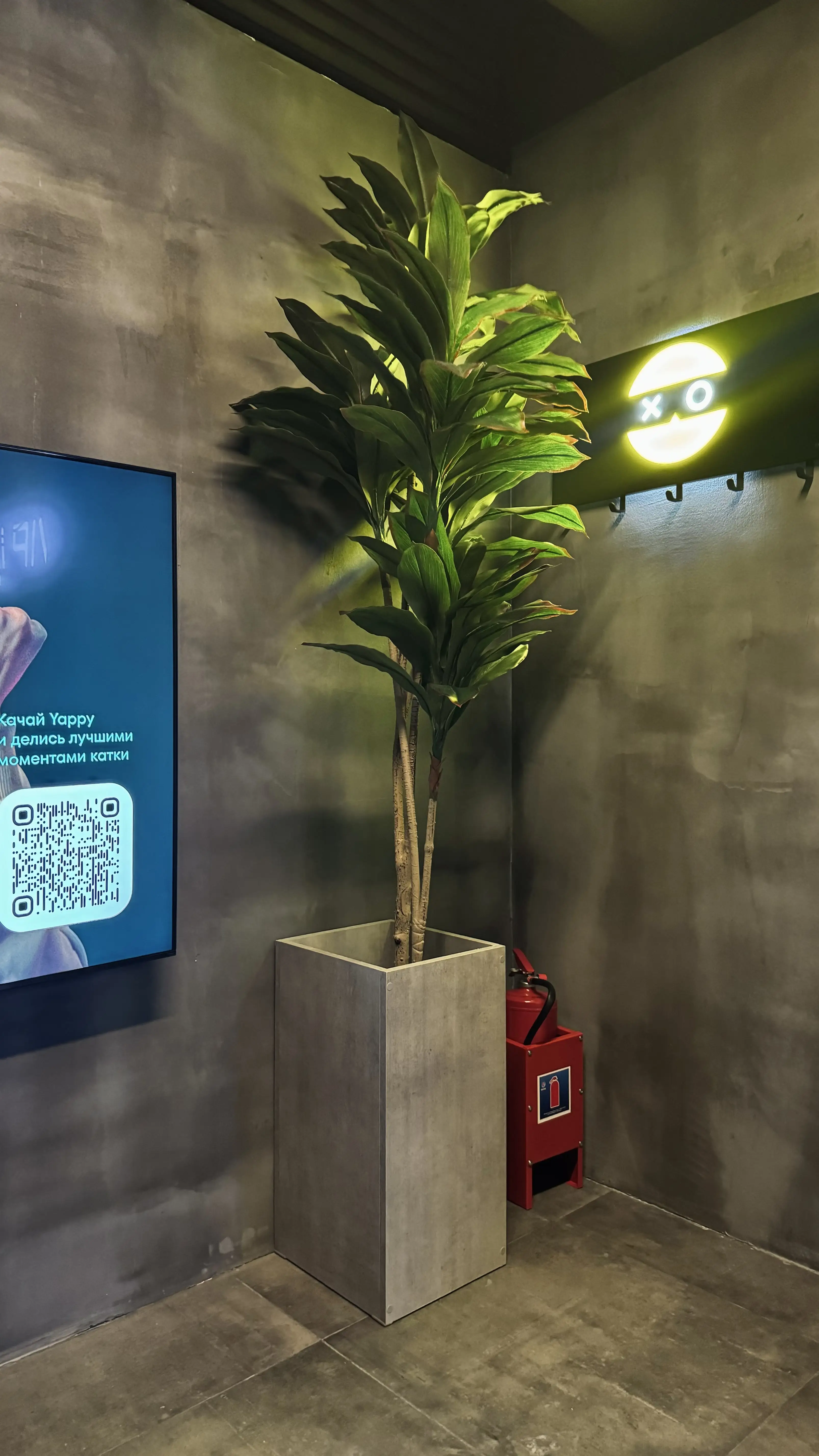 Изображение клуба Colizeum Новое Домодедово № 8