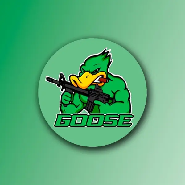Изображение клуба Goose CyberClub 2 № 1