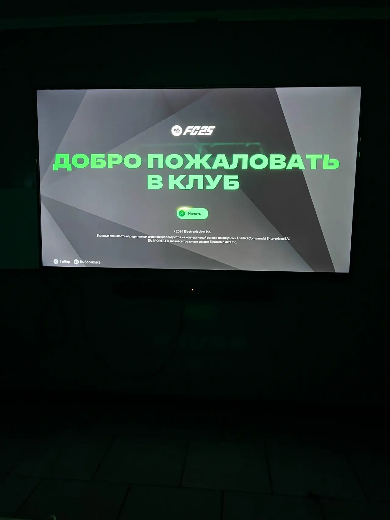 Изображение клуба Панда арена № 3