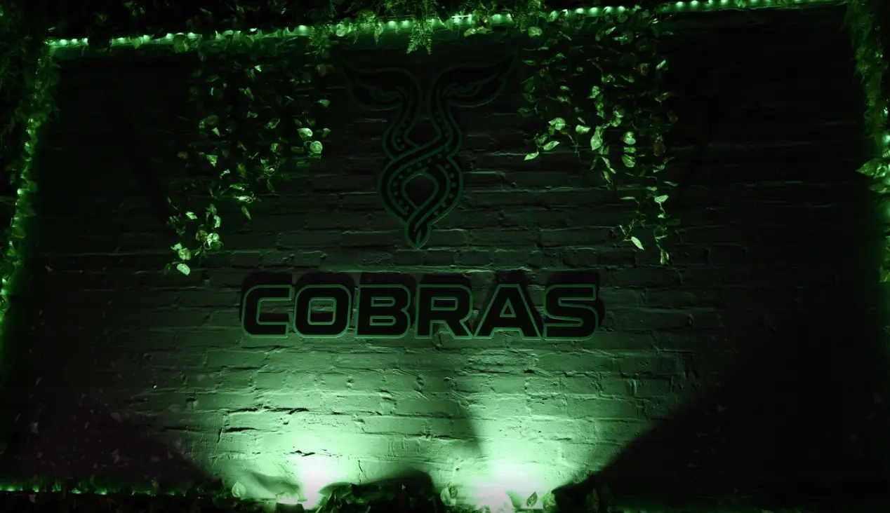 Изображение клуба Сobras № 4