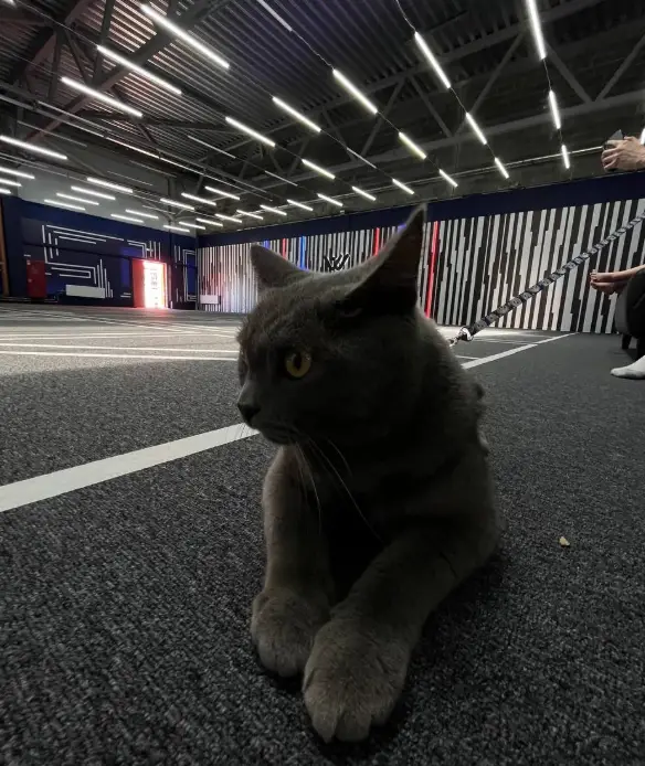 Изображение клуба Другие Миры № 5