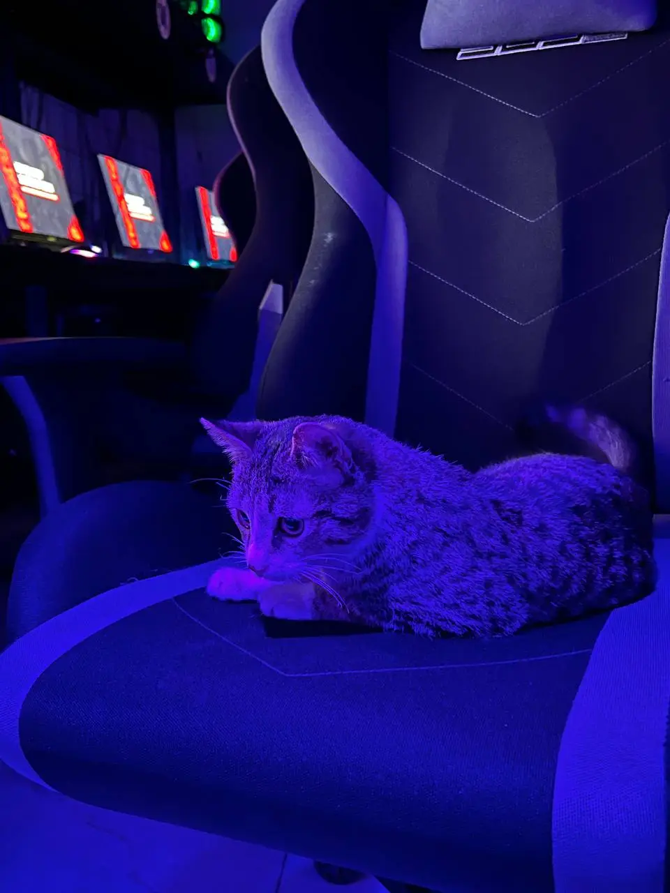 Изображение клуба InDaGame № 1