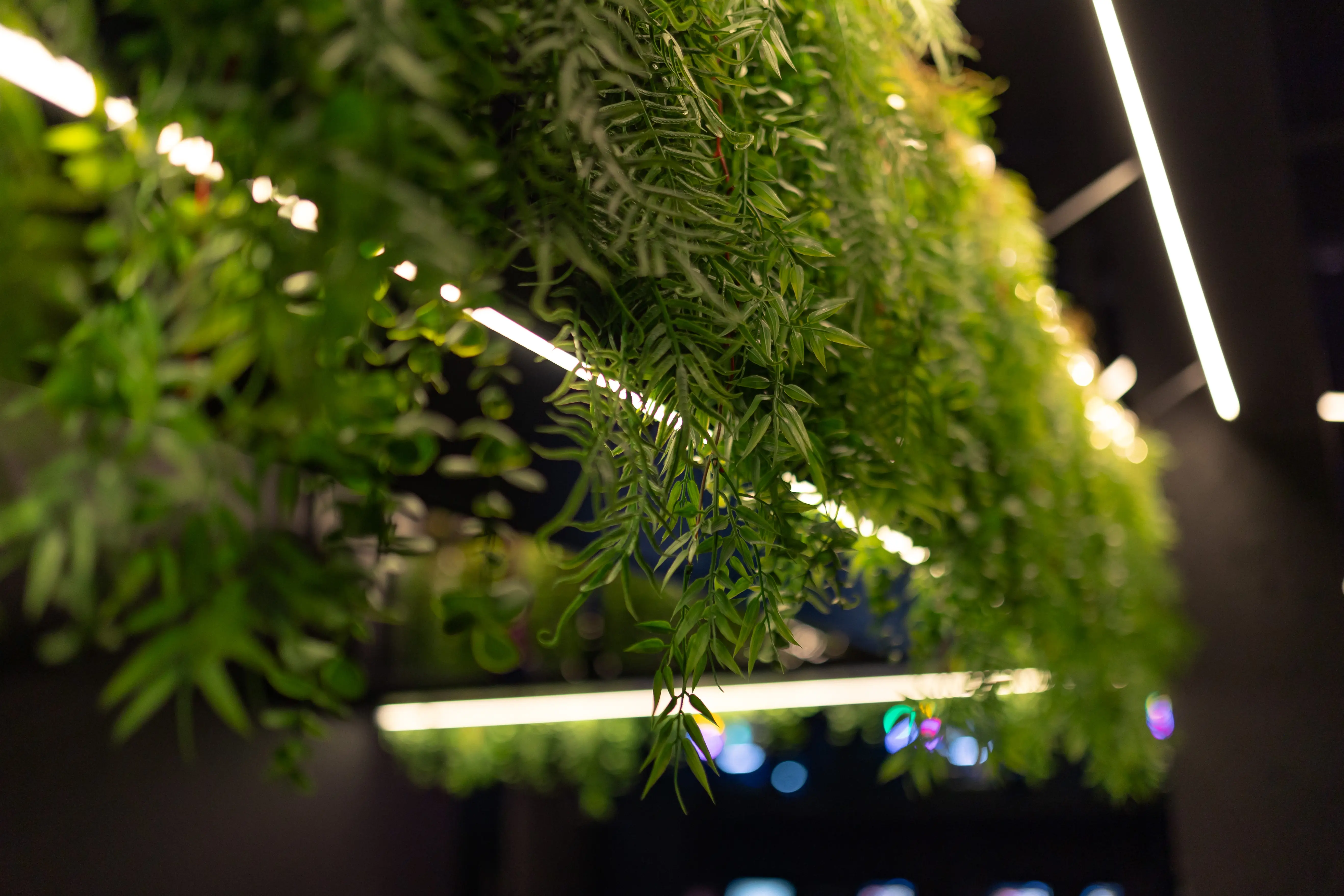 Изображение клуба GameSpot Лесопарковая № 8