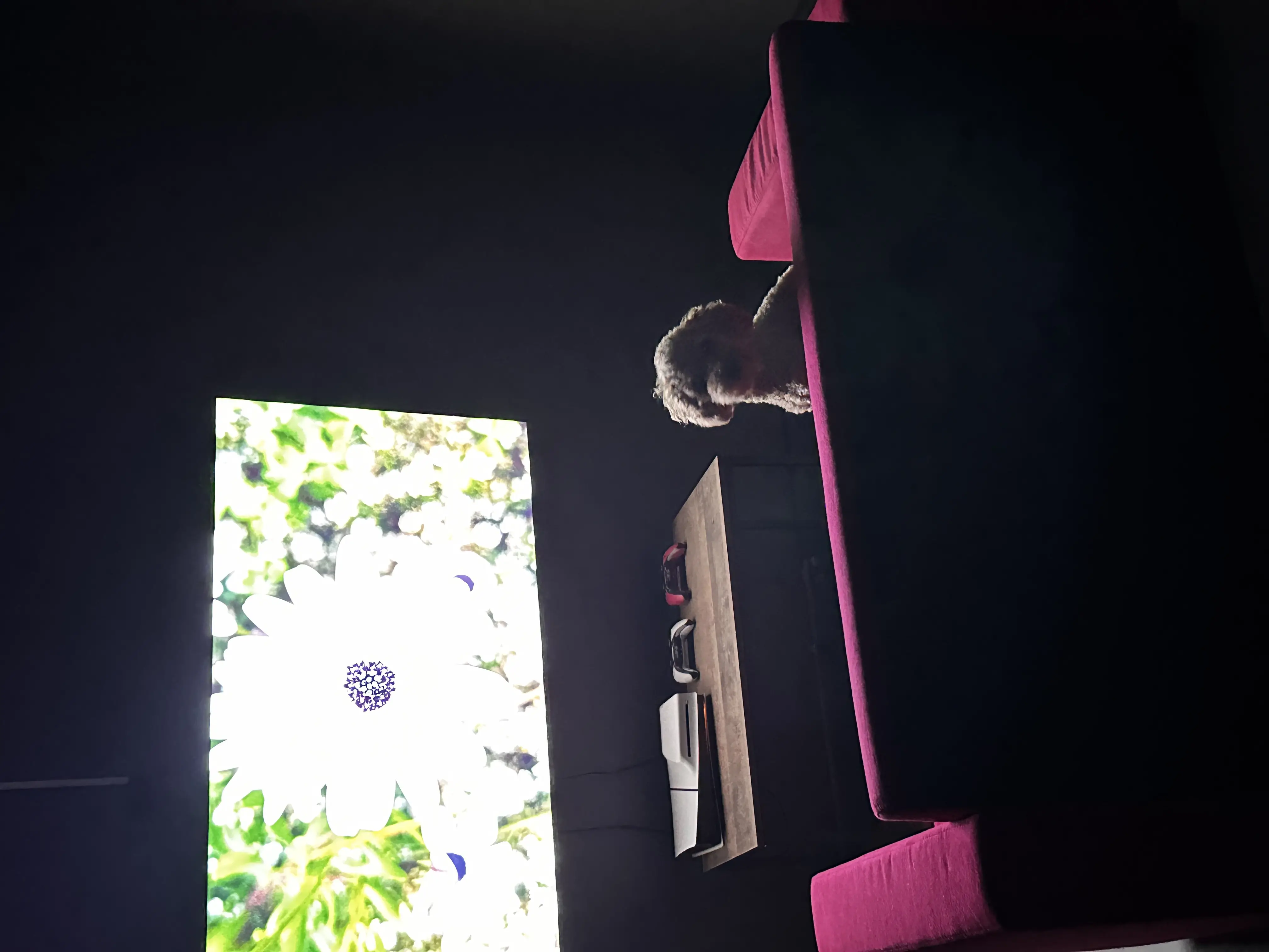 Изображение клуба GG № 9