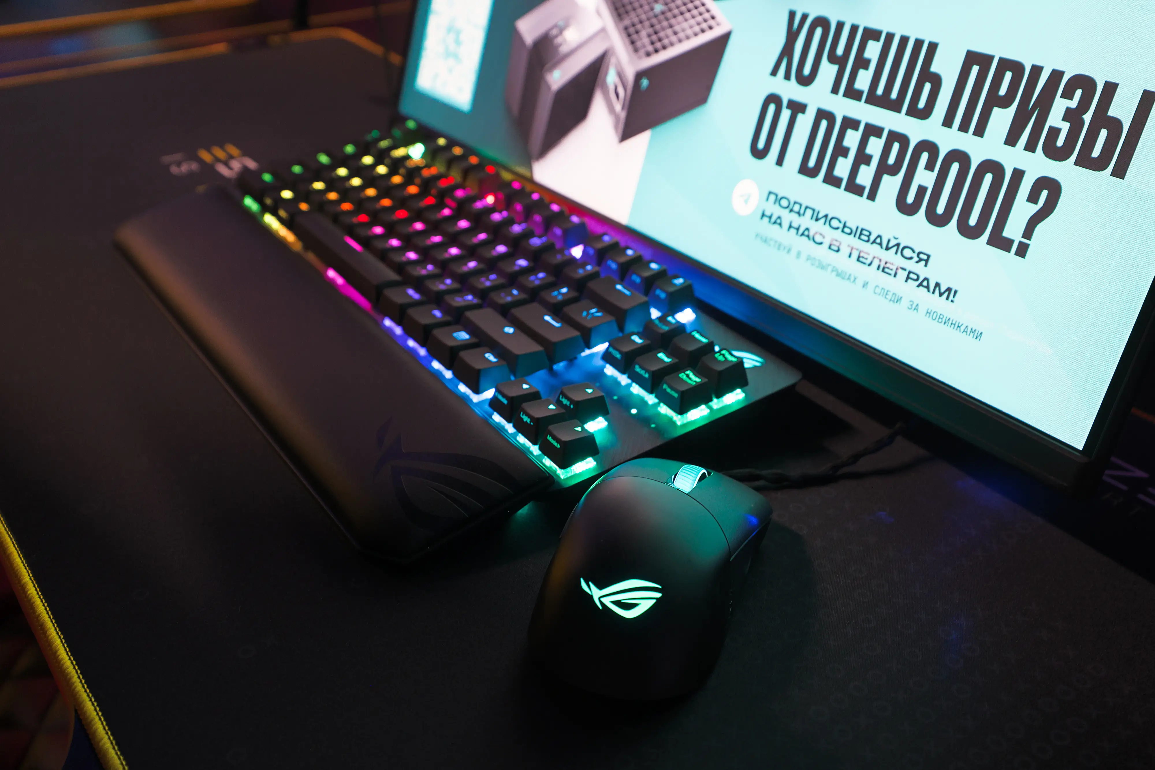 Изображение клуба Colizeum Гурьянова № 6