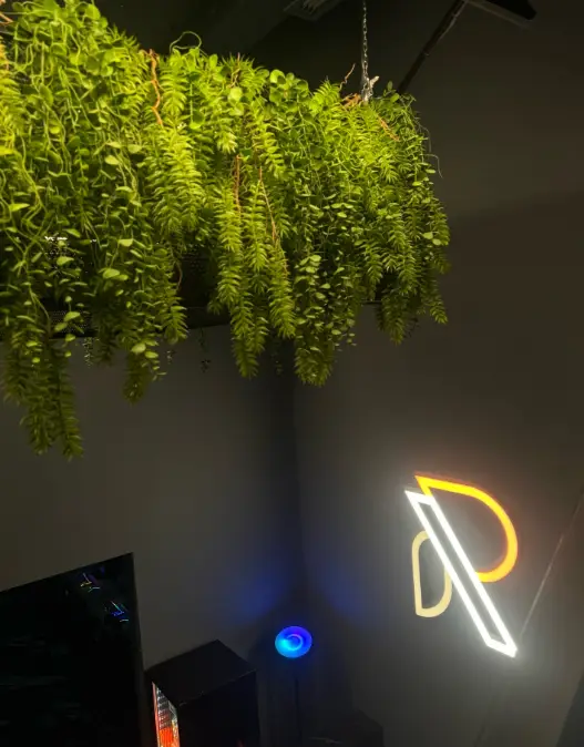 Изображение клуба Resource Game Zone x Lounge Bar № 6