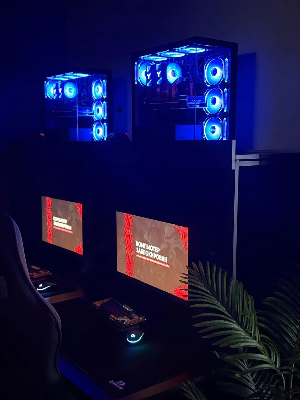 Изображение клуба SHARK № 5