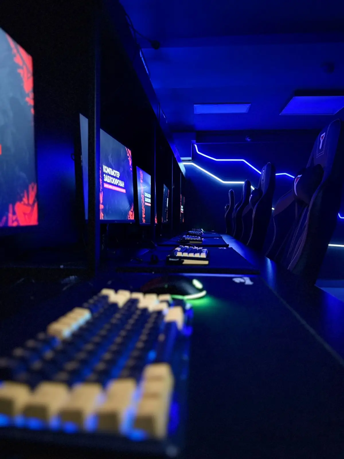 Изображение клуба SHARK № 7