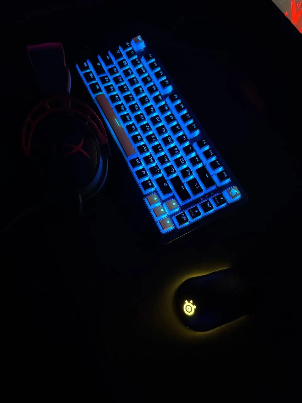 Изображение клуба SHARK № 8