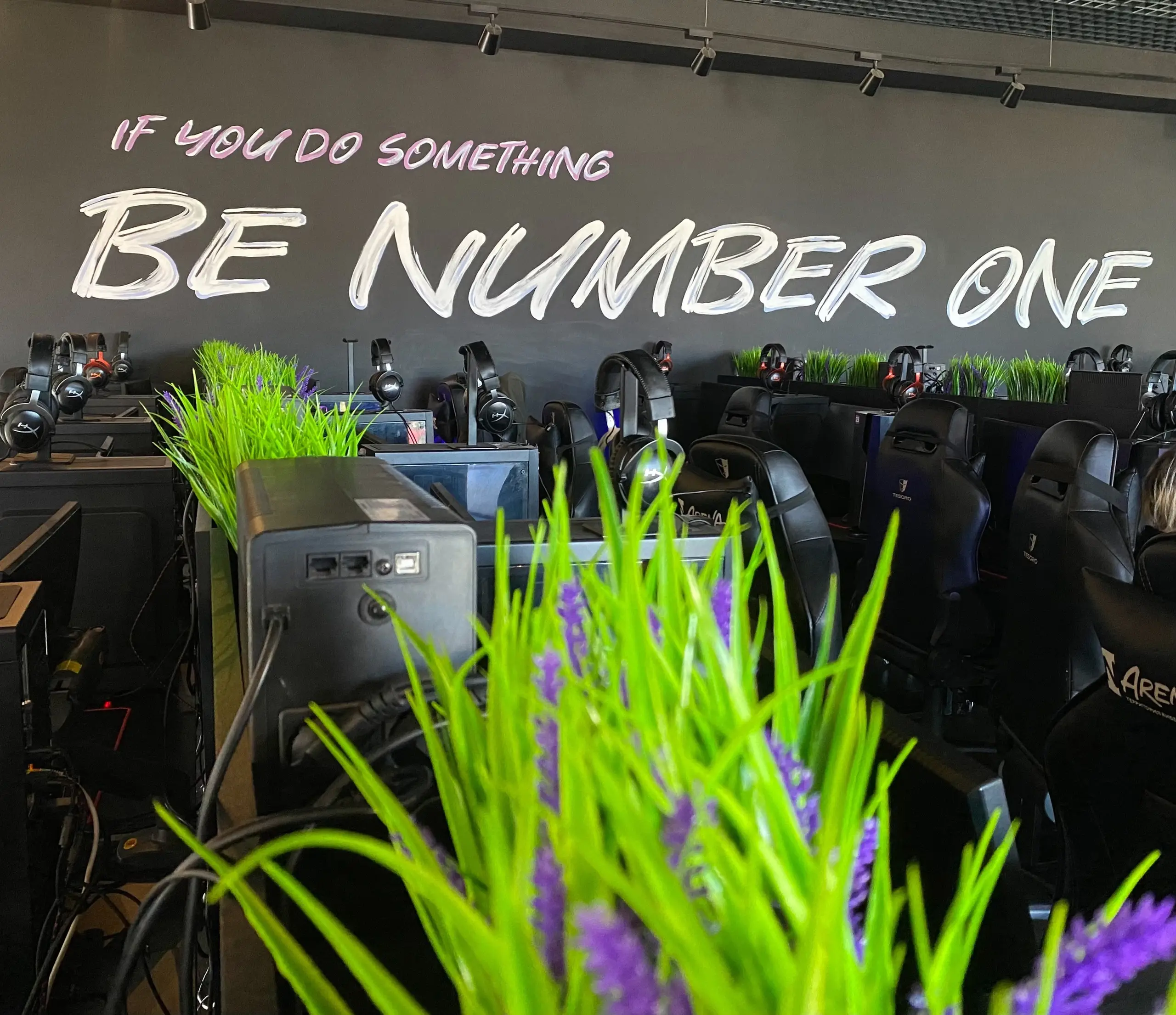 Изображение клуба N1 ARENA BUM № 7