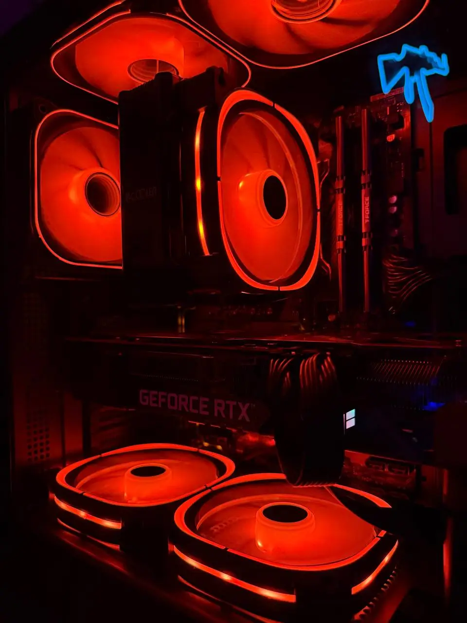 Изображение клуба REBORN № 7