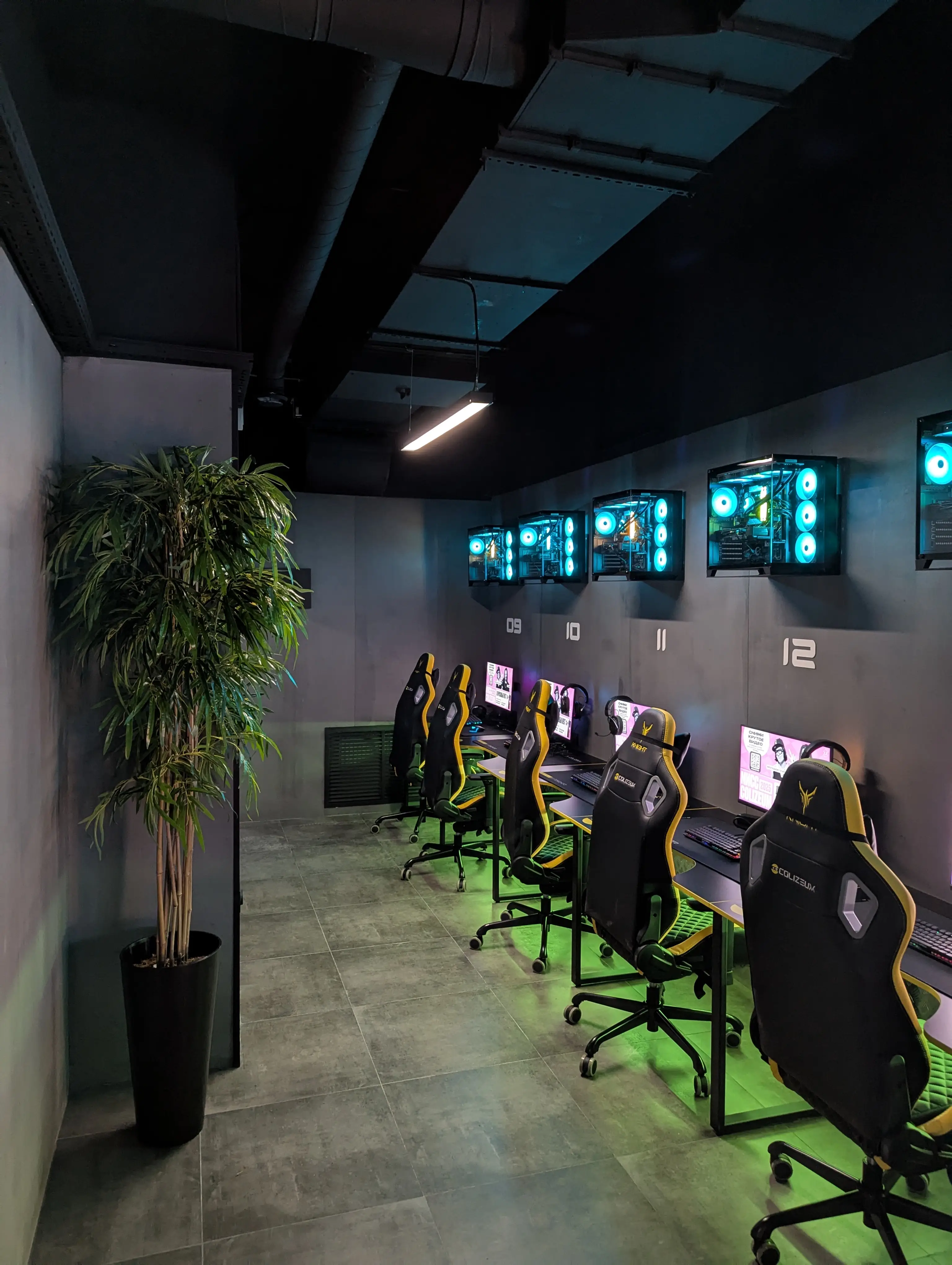 Изображение клуба Colizeum Метелица № 6