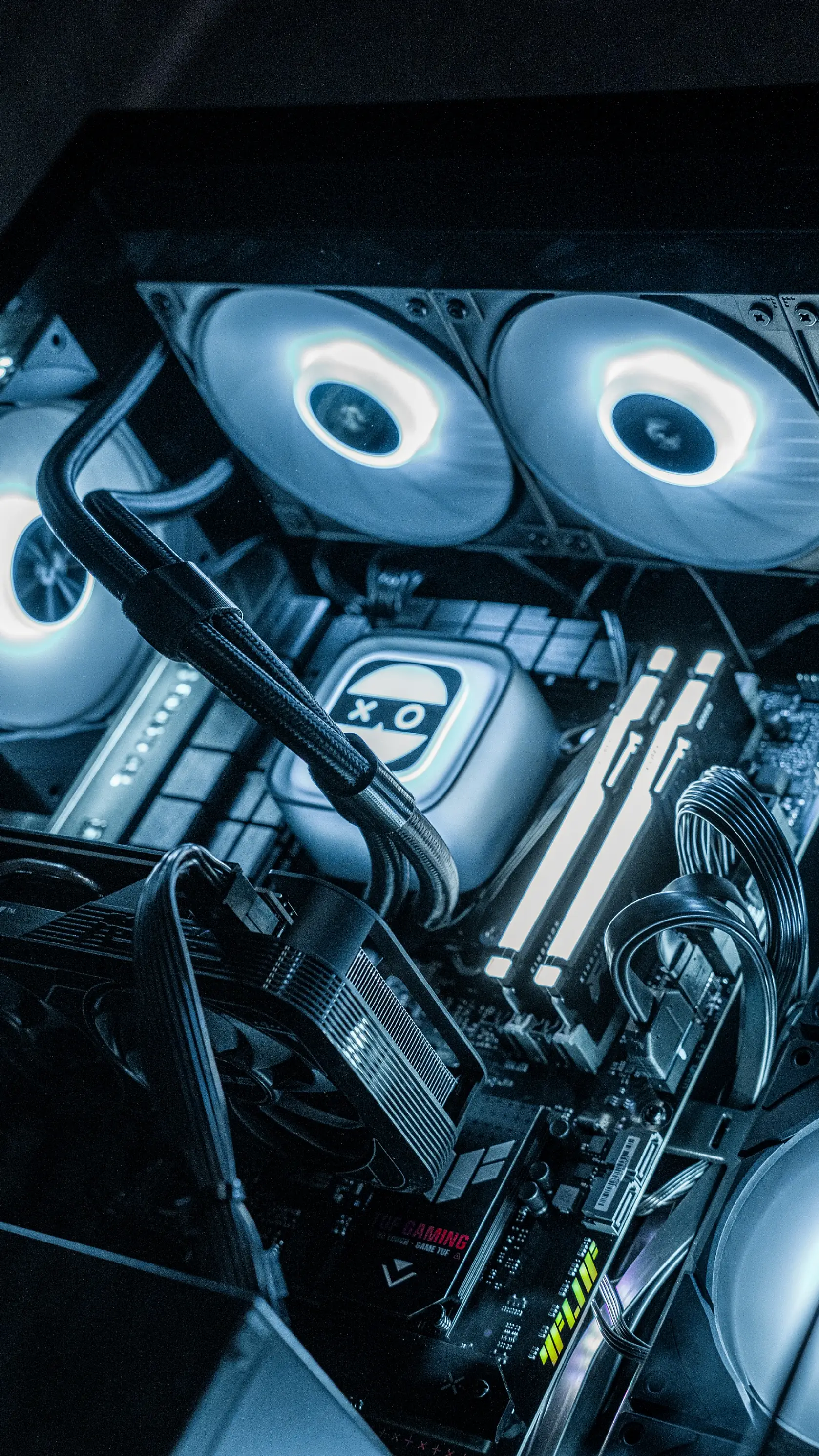 Изображение клуба COLIZEUM СПБ Балтийская № 7