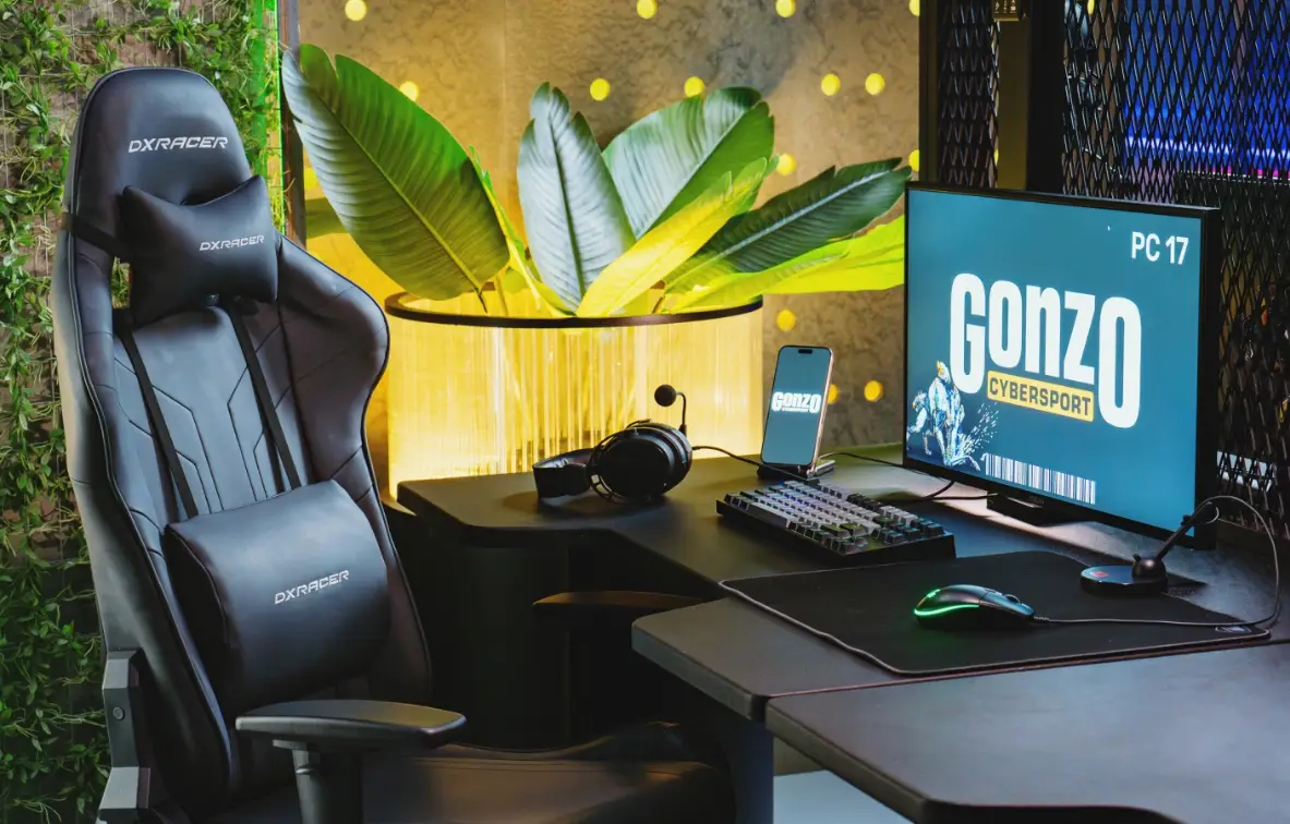 Изображение клуба Gonzo Cybersport № 1