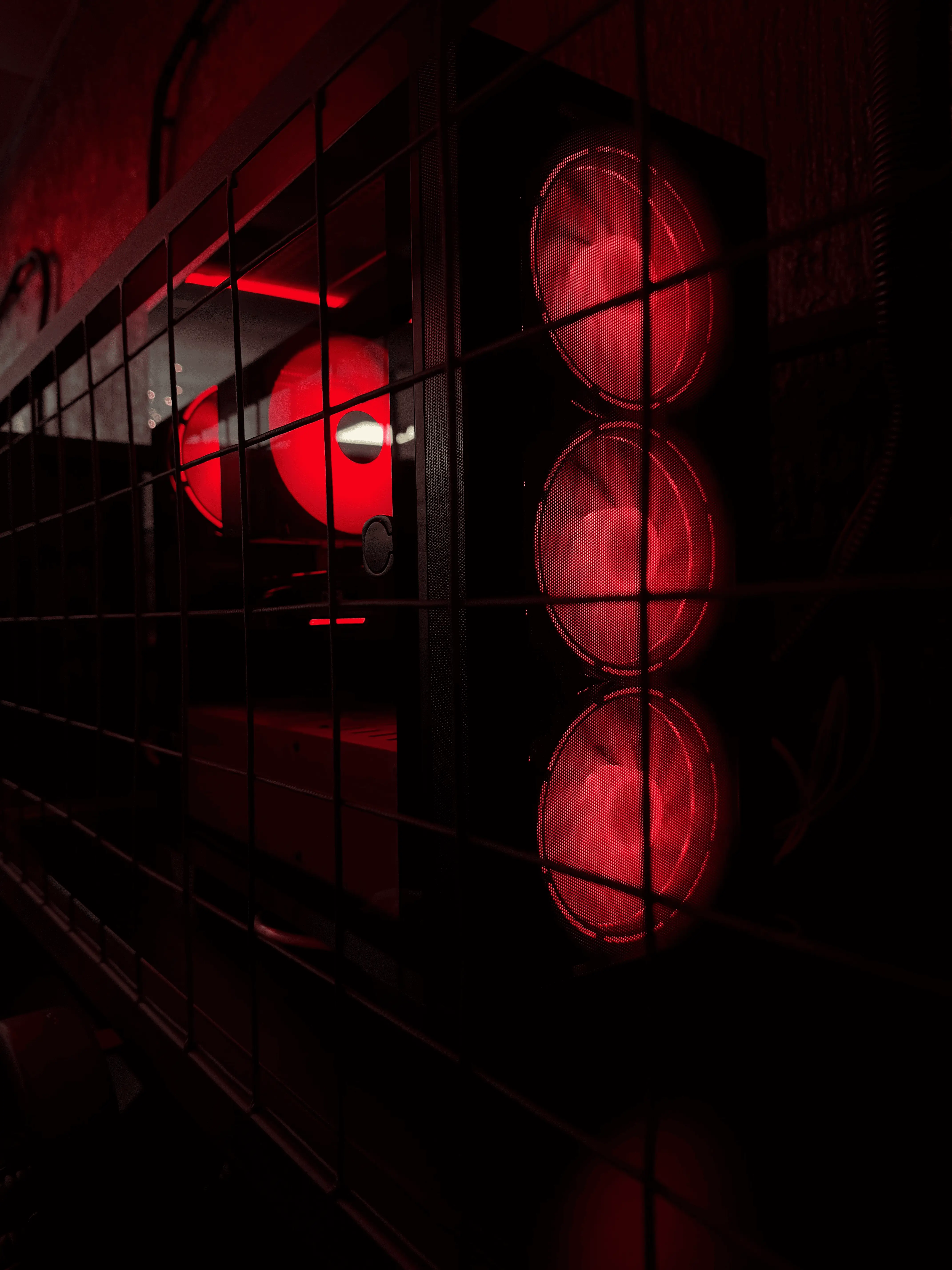 Изображение клуба BUSHIDOX | Nemiga № 1