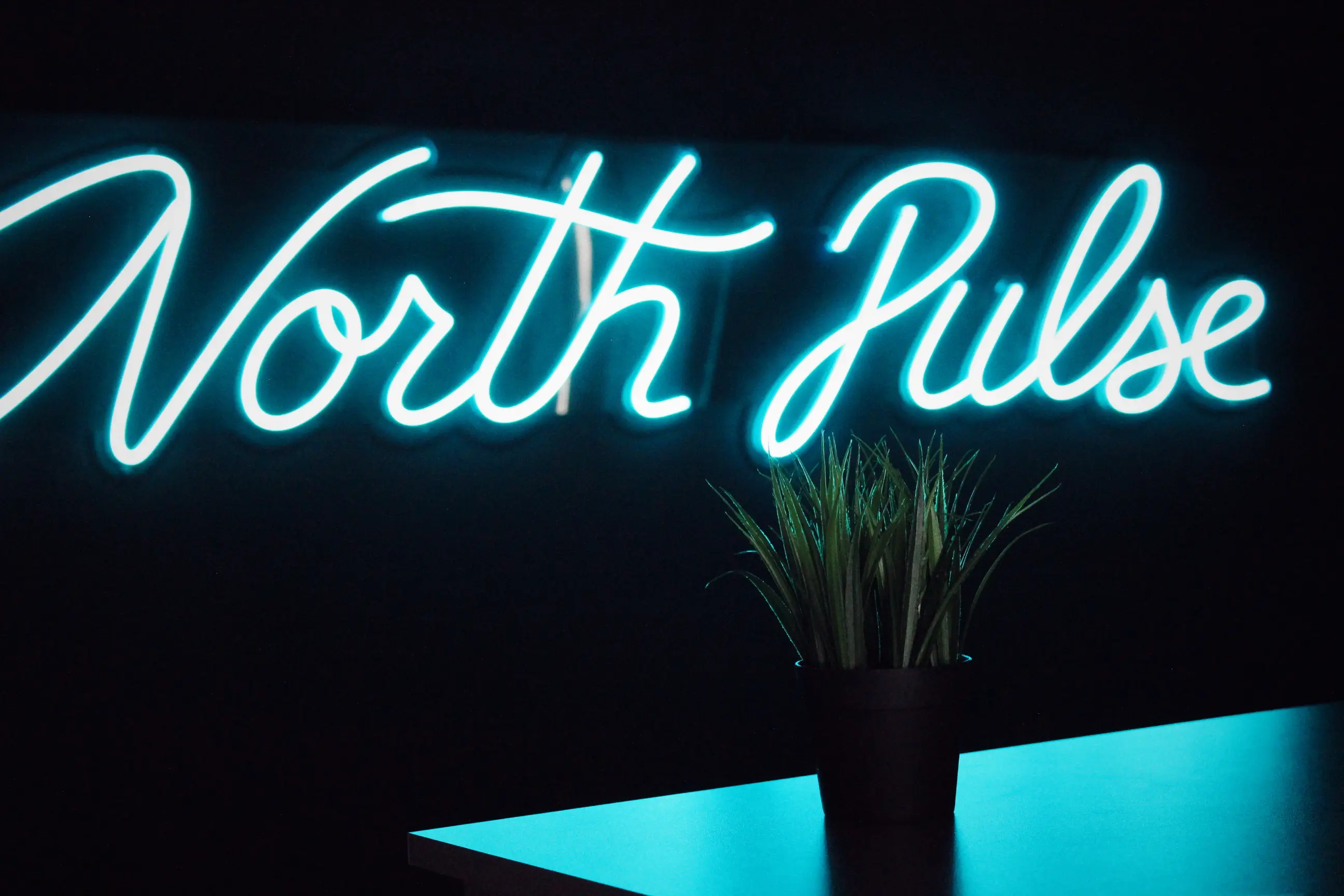 Изображение клуба North Pulse № 8