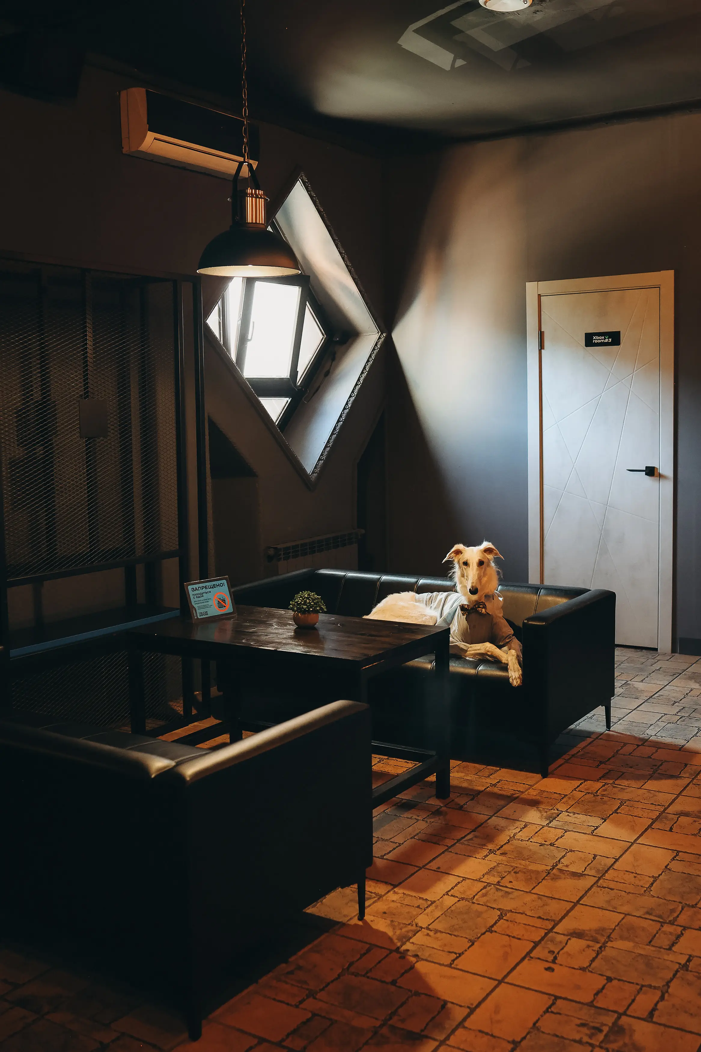 Изображение клуба TRUE GAMERS Колпино № 6