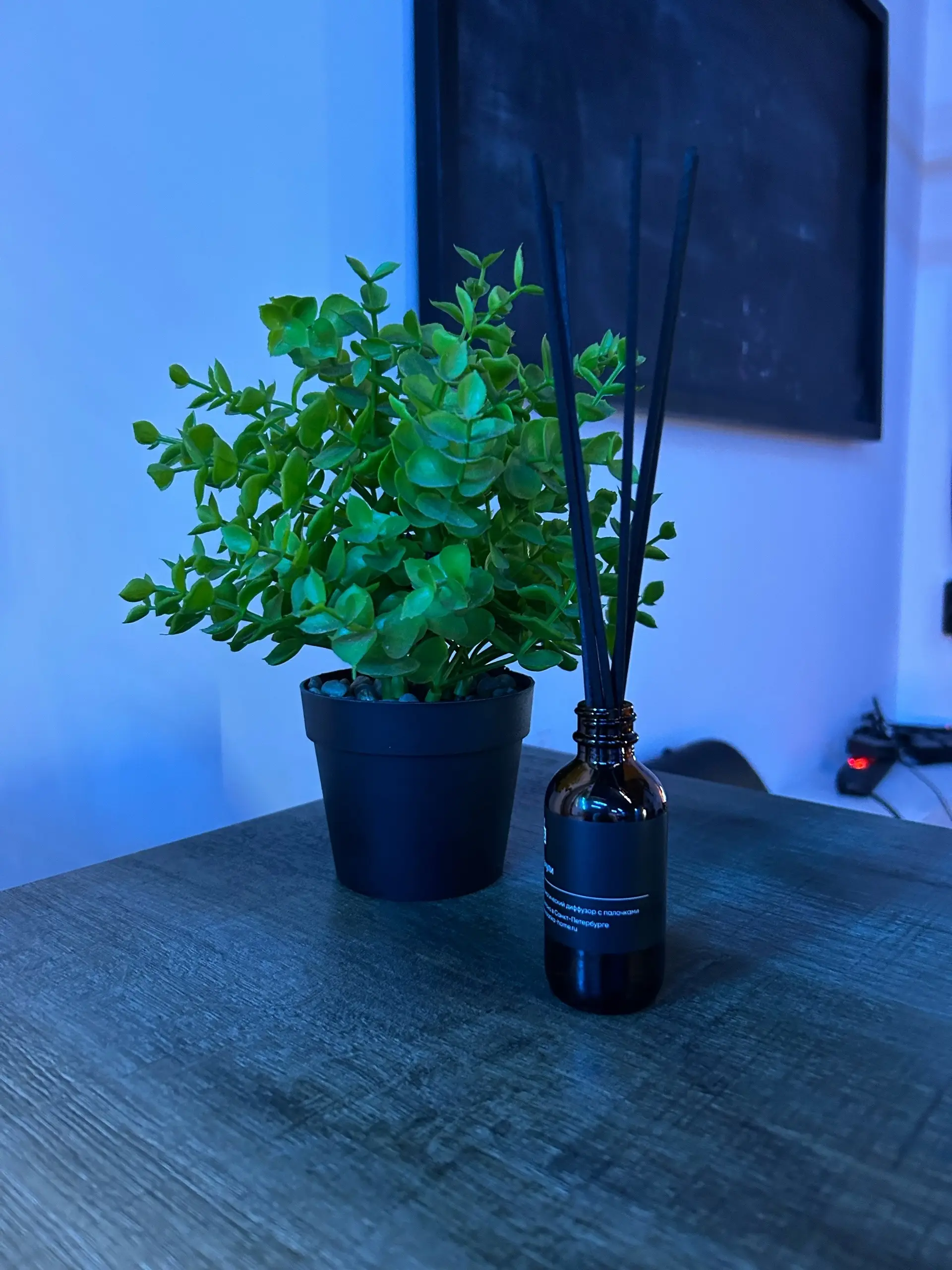 Изображение клуба Siberian Gamers № 9