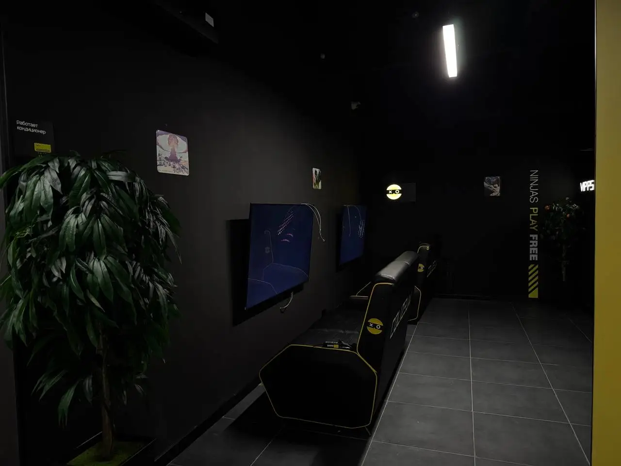 Изображение клуба Colizeum № 3