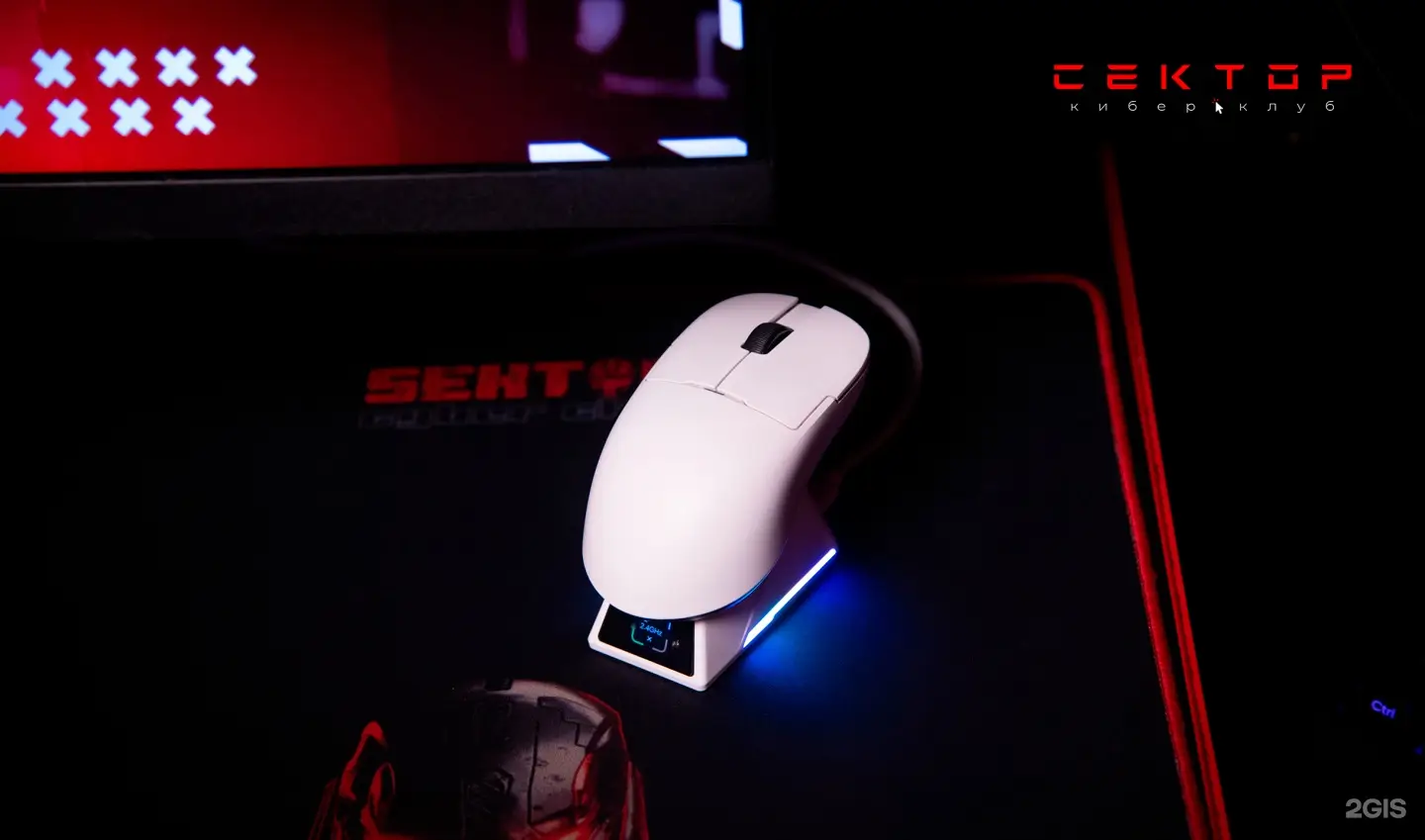 Изображение клуба SEKTOR Находка, Малиновского 21Б № 8