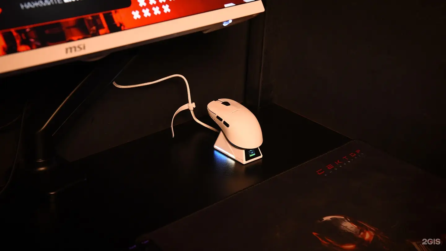 Изображение клуба SEKTOR Хабаровск, Станционная 19 № 1