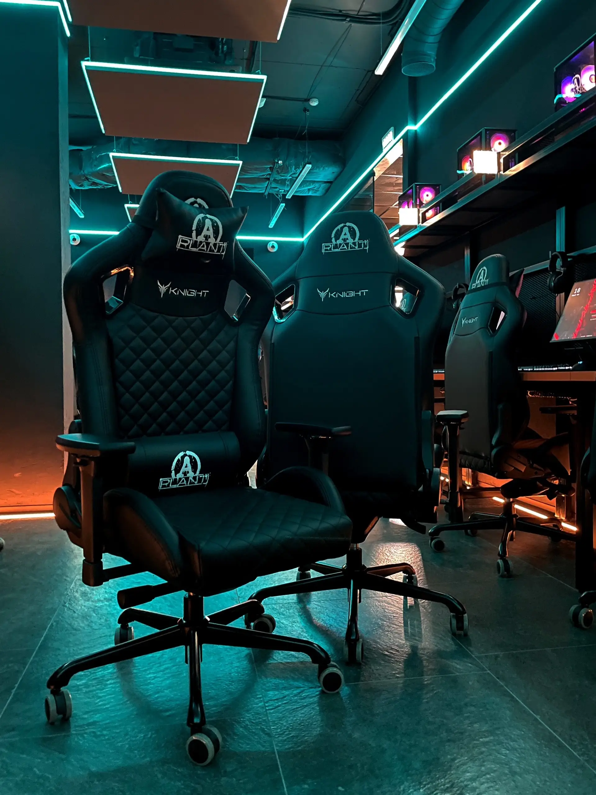 Изображение клуба A Plant № 2