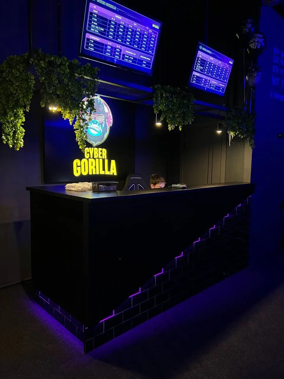 Изображение клуба Cyber Gorilla № 3