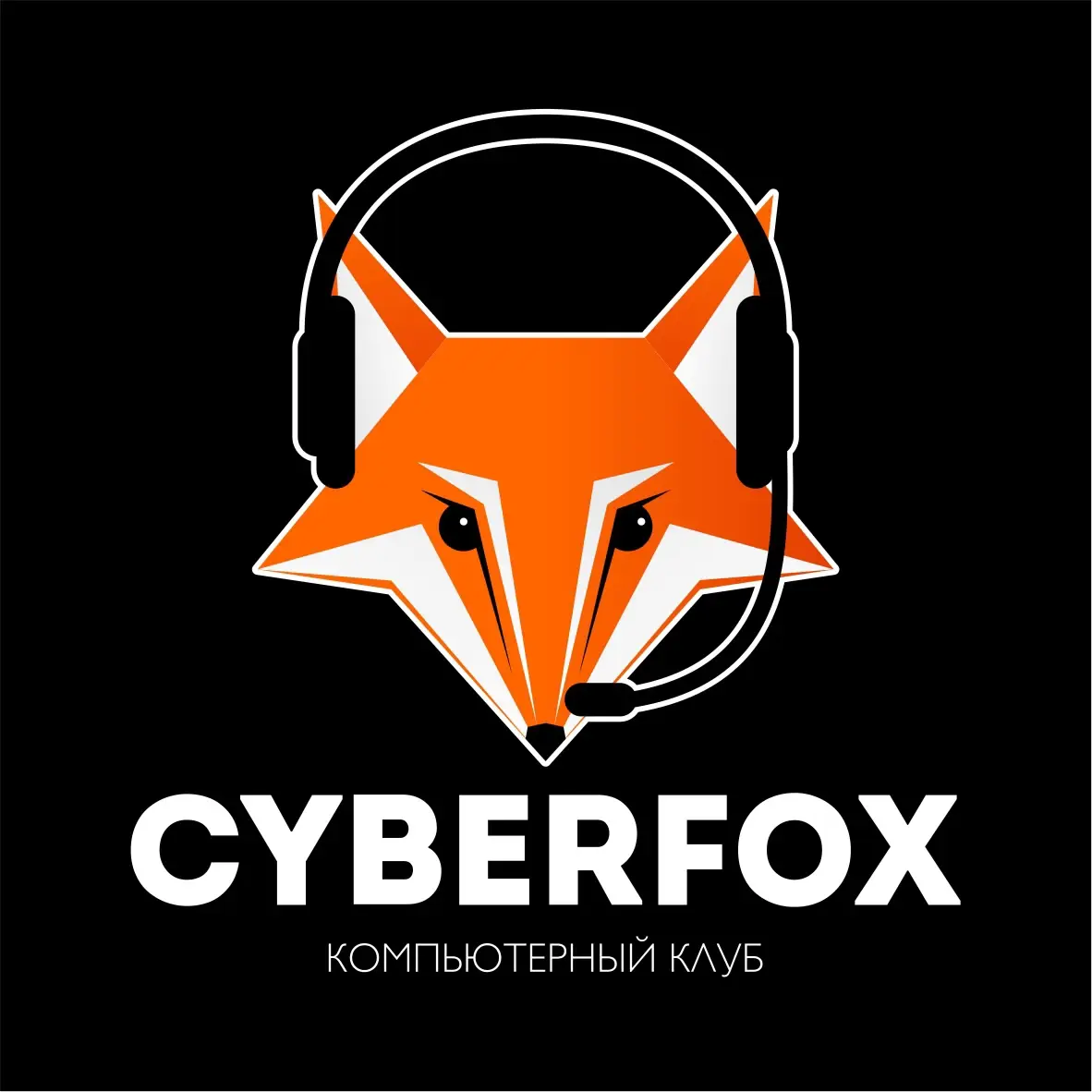 Изображение клуба CyberFox № 1