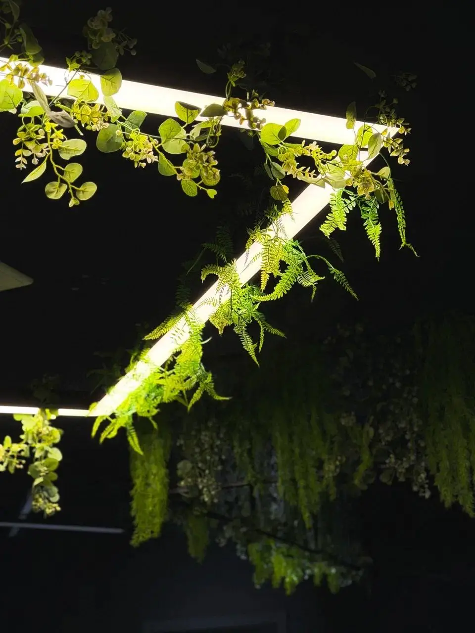 Изображение клуба Черный Квант № 8