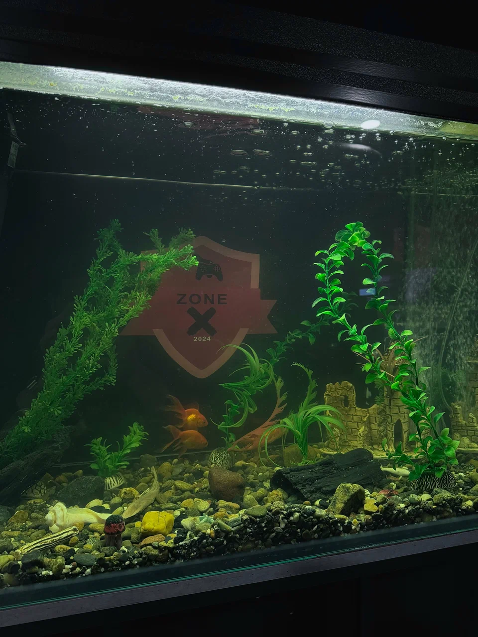 Изображение клуба Zone X № 2