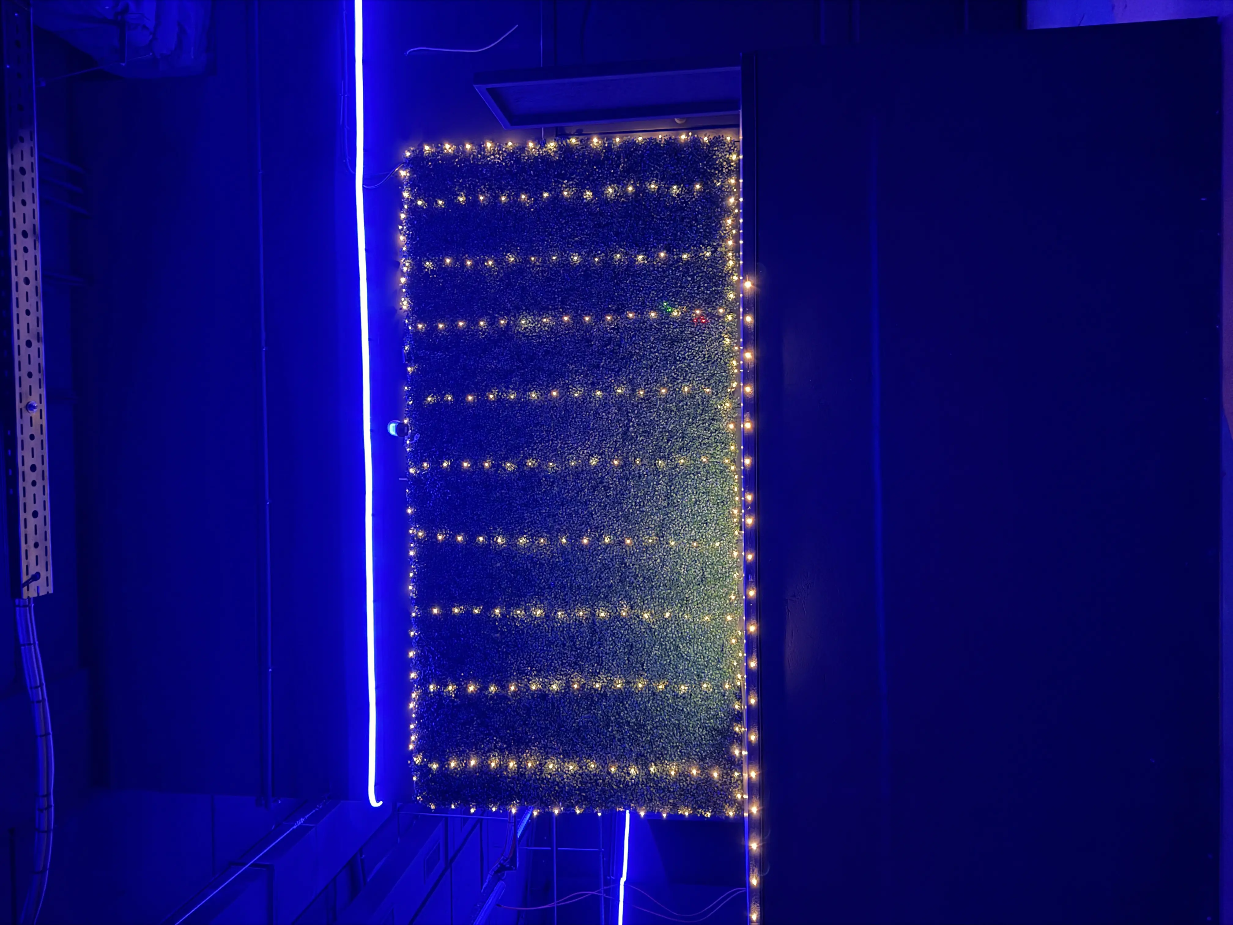 Изображение клуба PlayBeta № 4