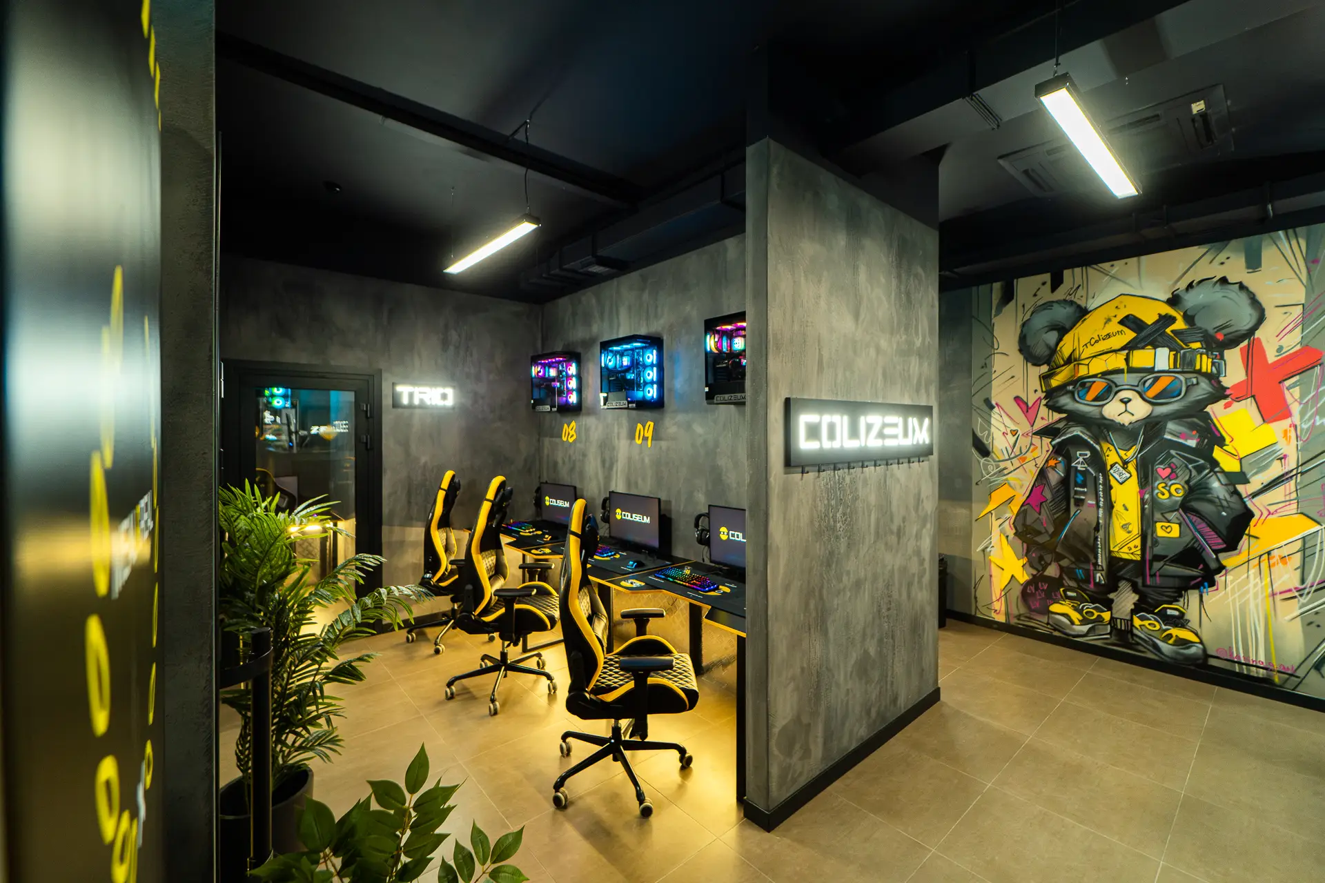 Изображение клуба Coliseum Евпатория № 5