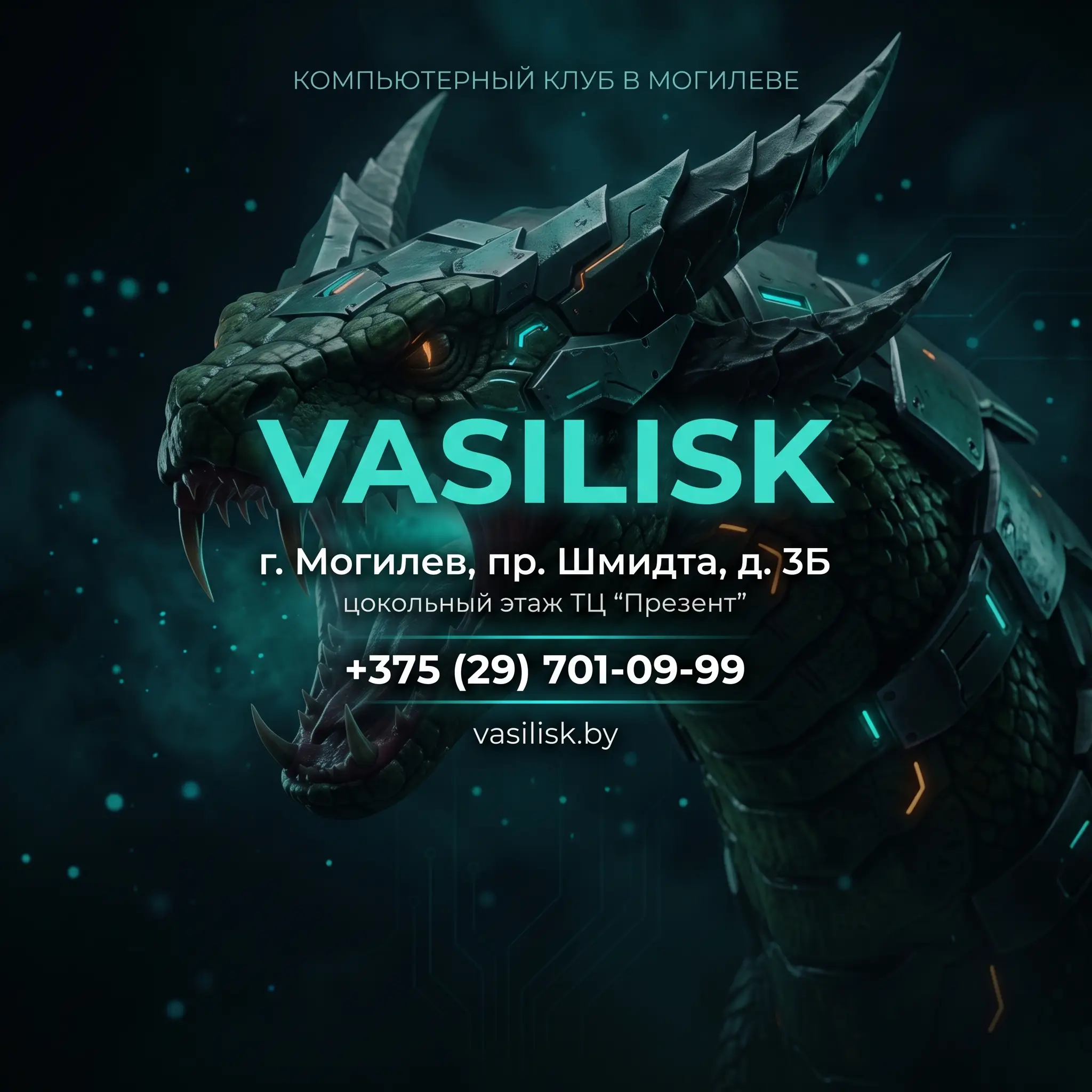 Изображение клуба VASILISK № 1